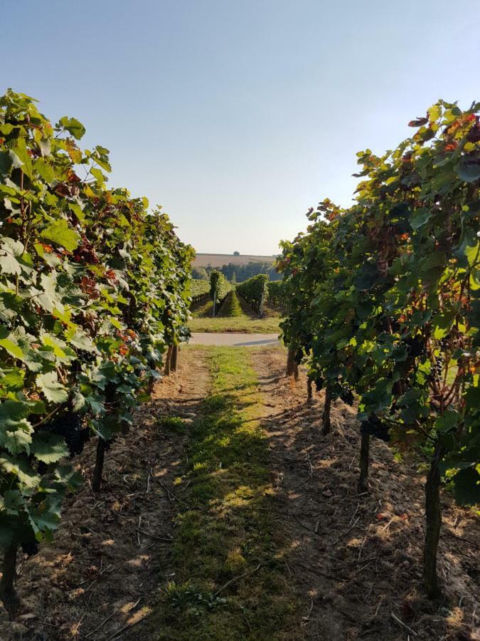 Weingut & Gaestehaus Nagel Kapellen-Drusweiler Zewnętrze zdjęcie