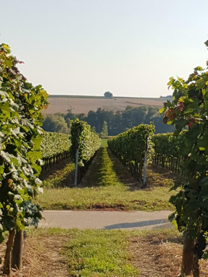 Weingut & Gaestehaus Nagel Kapellen-Drusweiler Zewnętrze zdjęcie